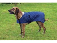 Zateplená vesta LYON Zateplená vesta LYON