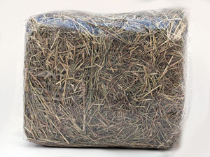 Obrázek “http://www.akva-exo.cz/obrazky/1350.jpg” nelze zobrazit, protože obsahuje chyby. Obrázek “http://www.akva-exo.cz/obrazky/1350.jpg” nelze zobrazit, protože obsahuje chyby.