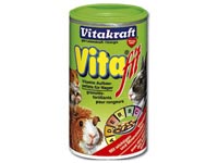 Vita Fit