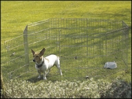 Ohrádka Dog Park