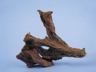 Kořen Driftwood malý