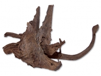 Kořen Driftwood Bulk L
