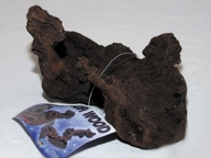 Kořen Mangrove Root M