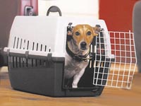 Přepravka Trotter Přepravka Trotter