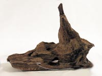 Ko�en DriftWood Bulk SS