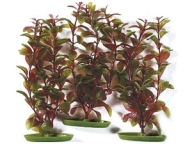 Rostlina Red Ludwigia 3ks