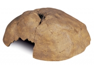 Jeskyně Reptile Cave