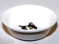 Miska s potiskem kočka velká