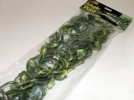 Rostlina plast Amapallo