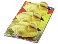 Dekorace kachny plast 3-PACK