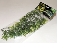 Rostlina plast Croton