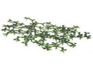 Rostlina plovoucí Duck Weed