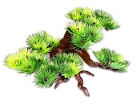 Dekorace Bonsai malá