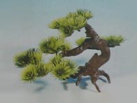 Dekorace Bonsai mal�