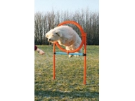 AGILITY proskakovací kruh