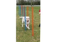 AGILITY Slalom, tyče 12ks