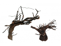 Přírodní kořeny Grapevine