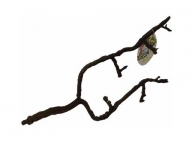 Umělá větev Terra Branch