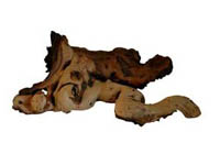 D�evo Mopani