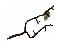 Umělá větev Terra Branch