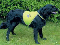 Bezpečnostní reflexní vesta