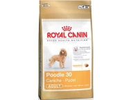 Royal Canin MINI Pudl