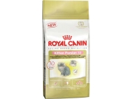 Royal Canin Kitten Persian