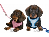 Postroj Puppy Soft