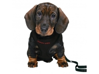 Postroj Puppy Soft