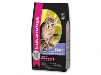 Eukanuba Cat Kitten