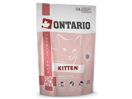 ONTARIO Kitten