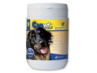 Canvit H Maxi pro psy 250g