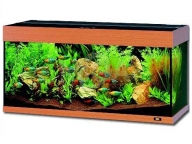 Akvarium Rio 180 buk