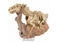 Kostra dinosaura 18x27cm