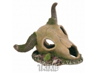 Lebka z buvola 17cm
