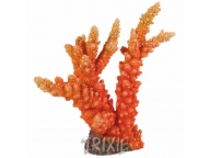 Špičatý korál 18cm