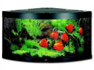 Akvarium Trigon 350 černá