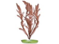 Rostlina Marinescaper Sea Sprite