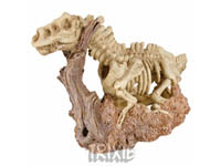 Kostra dinosaura 18x27cm
