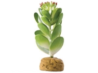 ExoTerra Jade Cactus