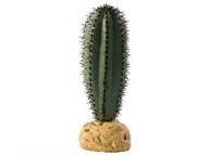 ExoTerra Saguaro Cactus