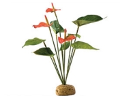 ExoTerra Anthurium Bush