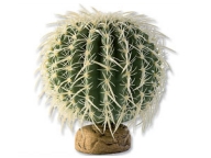 ExoTerra Barrel Cactus střední