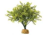 ExoTerra Boxwood Bush