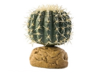 ExoTerra Barrel Cactus malý