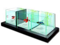 Akvárium Bamboo Betta Trio