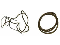 Rostlina Terra Vine - li�na