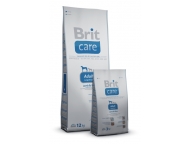 BRIT Care Adult Large Breed Lamb & Rice