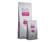 BRIT Care Junior Large Breed Lamb & Rice