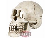Lidská lebka 15cm